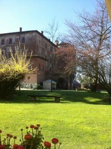 4-1-messer-tulipano