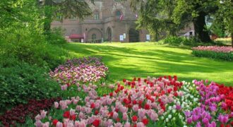 I Maestri del Gusto a Messer Tulipano 2026