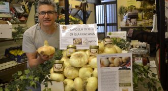 Fruitshop Gaido in Rivoli has new product