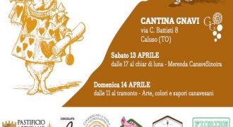 13-14/04/19: Alice nel Canavese (Caluso,TO)