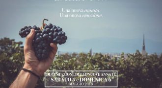 5-6/05/18: Degustazioni nuove annate (Andezeno, Torino)