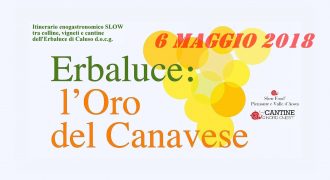 06/05/18: Erbaluce: Oro del Canavese