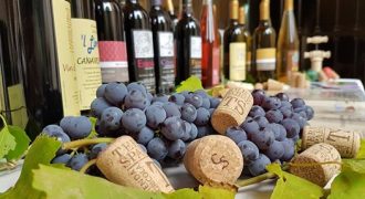 21/10/18: Festa di Fine Vendemmia (Chiaverano, TO)