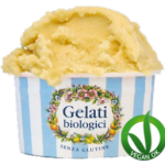 gelato-fior-di-riso-vegano-300x257