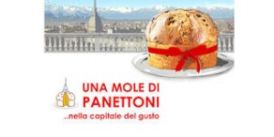 una mole di panettoni