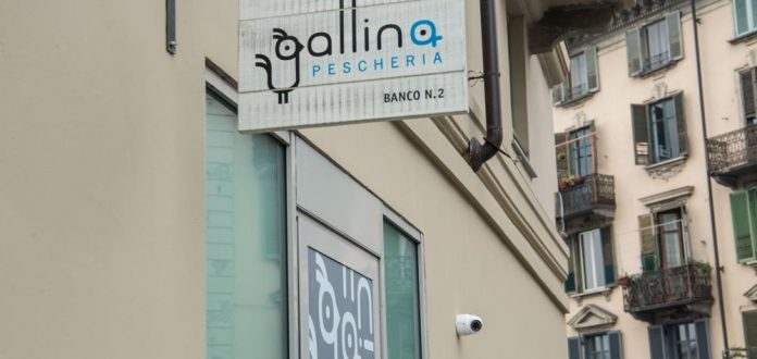 Gallina